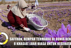 Saffron, Rempah Termahal di Dunia dengan 8 Khasiat Luar Biasa untuk Kesehatan