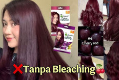 Tren 2025! 5 cat rambut tanpa bleaching terbaik: warna intens, rambut sehat, gaya maksimal!