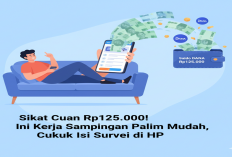 Sikat Cuan Rp125.000! Ini Kerja Sampingan Paling Mudah, Cukup Isi Survei di HP