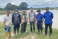 Komisi II DPRD OKU Timur Tinjau Banjir, Minta Pemkab Segara Bantu Petani 
