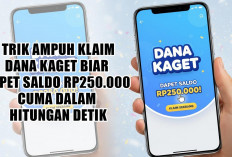 Cek Sekarang! Nomor Kamu Beruntung dan Berhak Dapat DANA Kaget Hingga Rp200.000, Ini Link Terbarunya
