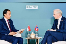 Bertemu PM Norwegia, Presiden Jokowi Bahas Kerja Sama Lingkungan Hidup hingga Situasi di Gaza