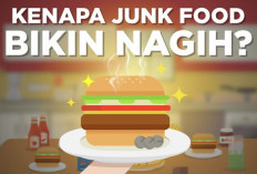 Awas Bahaya Ketagihan Makanan Junk Food, Berikut Tips Jitu untuk Menghentikannya!