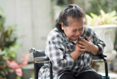 Tak Perlu Obat Kimia! Air Rebusan 4 Tanaman Ini Bisa Jadi Solusi Ampuh Bantu Pemulihan Stroke Lebih Cepat