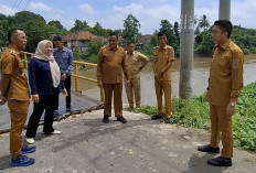Bupati Ogan Ilir Cek Jembatan Lubuk Rukam-Muara Kumbang, Minta Kadin PU PR Segara Perbaiki