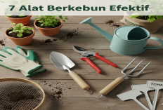 Wajib Ada di Rumah! 7 Alat Berkebun Paling Efektif untuk Kebun Mungil Anda