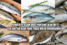 Penderita Asam Urat Pantang Ikan Ini, Cek Daftar Ikan yang Tidak Boleh Dikonsumsi