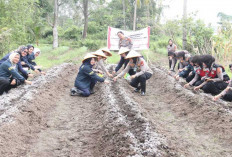 Ini Ajakan Polwan Polda Sumsel Kepada Masyarakat Dalam Hal Ketahanan Pangan