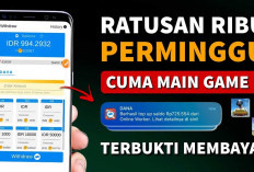 Gak Perlu Waktu lama Ini Cara Dapatkan Saldo DANA Gratis Rp100 Ribu, Auto Dompet Digital