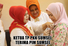 Ketua TP PKK Sumsel Menjajaki Kolaborasi dengan PIM dalam Berkontribusi Mensejahterakan Masyarakat 