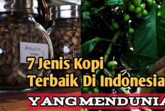 7 Jenis Kopi Lokal Indonesia Yang Sukses Mendunia, Kamu Wajib Cobain