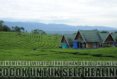 4 Rekomendasi Wisata Perkebunan Asri di Indonesia, Tempatnya Menenangkan dan Banyak Spot Foto