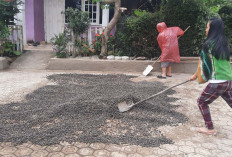 Pencurian Buah Kopi Marak, Warga Diimbau Jaga Panen Mereka Lebih Ketat