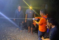 Polres Prabumulih Selidiki Kecelakaan Kereta Api yang Renggut Nyawa Petugas Penjaga Perlintasan
