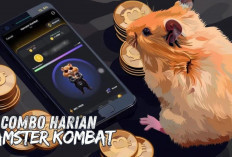 Kombo Harian Hamster Kombat 3 Agustus 2024! Dapatkan 5 Juta Koin Gratis!