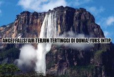 Angel Falls! Air Terjun Tertinggi di Dunia, Yuks Intip