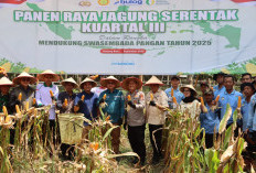 Panen Raya Jagung Serentak Kuartal III Tahun 2025, Capaian Panen Jagung Polres Ogan Ilir Sementara 164,2 Ton 