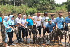 Tradisi Berkarang, H Cik Ujang dan Istri Bersatu Menjaga Warisan Nenek Moyang