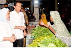 Presiden dan Ibu Iriana Cek Harga sambil Belanja di Pasar Tradisional Purworejo