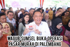 Bukan Sekadar Jual Barang Murah, Wagub Sumsel Cik Ujang Ungkap Maksud di Balik Operasi Pasar Murah