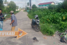 Warga Sematang Borang Pagi-pagi Geger Heboh, Apa Itu?