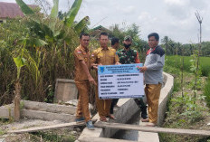 Pemdes Sirah Pulau Lahat Alokasikan Bangun Drainase, SPAL dan 10 Unit Lampu Tenaga Surya, Ini Kata Kades