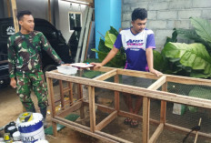 Cuan dari Kicauan! Kisah Bagus Pemuda Tengaran Sukses Ternak Murai Batu di Tengah Momen TMMD