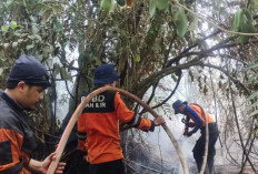 Lahan di 2 Desa di Indralaya Utara Terbakar, Tim Satgas Karhutla Terkendala Sumber Air