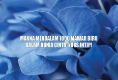 Makna Mendalam 1000 Mawar Biru Dalam Dunia Cinta, Yuks Intip!