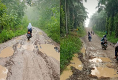 Bak Kubangan Kerbau, Warga Desa Baturaja Bungin OKU Timur Desak Perbaikan Jalan Rusak    
