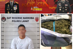 NGERI! Satresnarkoba Polres Lahat Amankan 1.020 Gram Ganja dari Tangan Tersangka