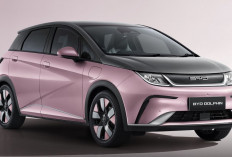 Spesifikasi Mobil Listrik BYD Dolphin Mulai dari Eksterior Hingga Interiornya!