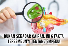 Bukan Sekadar Cairan, Ini 6 Fakta Tersembunyi Tentang Empedu!