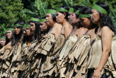Suku-suku di Provinsi Bengkulu: Suku Terbesar Rejang dan Serawai, Suku Terkecil dan Terpencil adalah Enggano