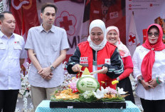 HUT ke-80 PMI, Momentum Perkuat Komitmen Kemanusiaan di Palembang