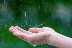 Sumsel Bakal Diguyur Hujan, Ini Dia Prakiraan Cuaca Rabu 1 Oktober 2025