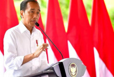 Beginilah Tanggapan Presiden Jokowi Atas Pembebasan Pilot Susi Air