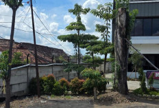 KAI Divre III Palembang Maknai Hari Bumi 2026 Dengan Langkah Berikut Ini