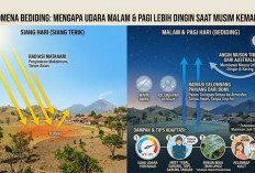 Fenomena Bediding: Mengapa Udara Malam dan Pagi Hari Terasa Lebih Dingin Saat Musim Kemarau?