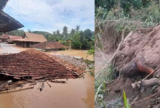 Jasad Pria Ditemukan Tenggelam dan Terseret Derasnya Arus Sungai Ogan Akibat Banjir Bandang di OKU 