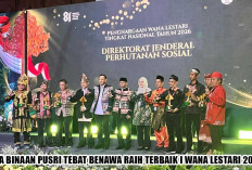 Bukan Kaleng-Kaleng! Hutan Adat Tebat Benawa Binaan Pusri Sabet Terbaik I Wana Lestari 2026