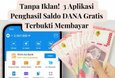 Tanpa Iklan! Cobain 3 Aplikasi Penghasil Saldo DANA Gratis Terbukti Membayar Auto Masuk Dompet Elektronik