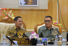 Ratu Dewa Sambut Baik City Branding Helmy Yahya, Siap Bawa Palembang Lebih Mendunia