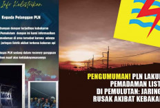 PENGUMUMAN! PLN Lakukan Pemadaman Listrik di Pemulutan: Jaringan Rusak Akibat Kebakaran