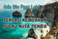 Sensasi Pulau Nusa Penida Nan Eksotis, Wisata Pantai yang Menyimpan Hiu Paus, Coba Deh!