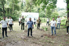 Peringati Hari Hutan Sedunia 2024, Pertamina Jalankan Komitmen melalui Gerakan Penanaman Pohon di Sumsel