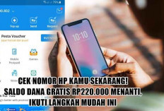 Cek Nomor HP Kamu Sekarang! Saldo DANA Gratis Rp220.000 Menanti, Ikuti Langkah Mudah Ini