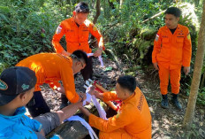 Sempat Terjebak di Gunung Dempo Usai Jatuh Ambil Air, Korban Berhasil Dievakuasi Tim SAR