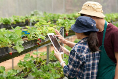 Jangan Salah Pilih, Inilah 7 Jurusan Pertanian Punya Prospek Kerja Cerah di Masa Depan