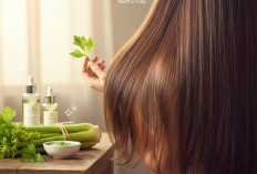 Gak Perlu Mahal! 6 Manfaat Daun Seledri bagi Rambut, Ampuh Atasi Rontok dan Bikin Rambut Lebat Alami